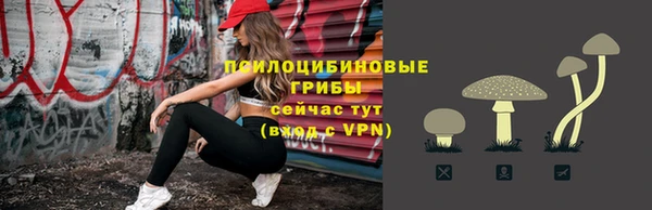 крисы Бронницы