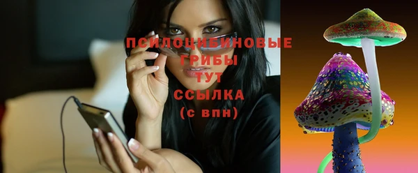 крисы Бронницы