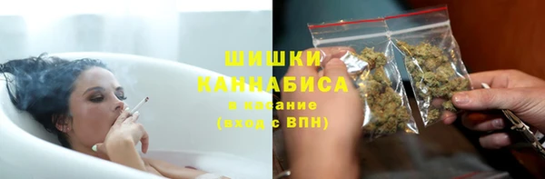 прущие крисы Бородино