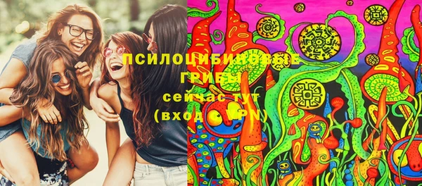 крисы Бронницы