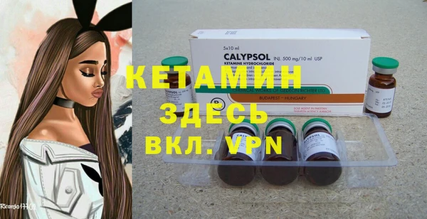 прущие крисы Бородино