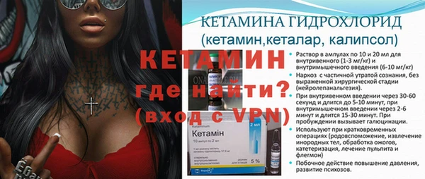 прущие крисы Бородино