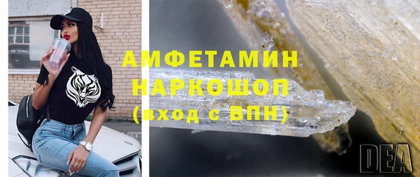 крисы Бронницы