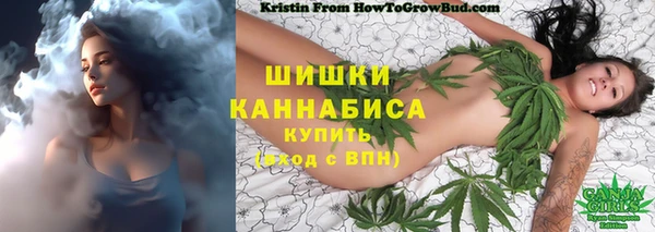 прущие крисы Бородино