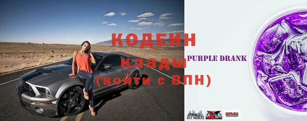 прущие крисы Бородино
